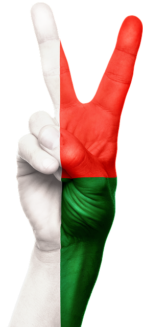 Free madagascar hand flag illustration