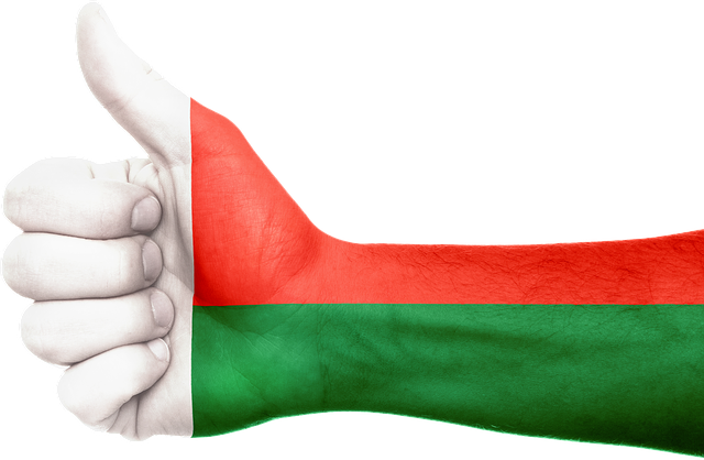 Free madagascar hand flag illustration