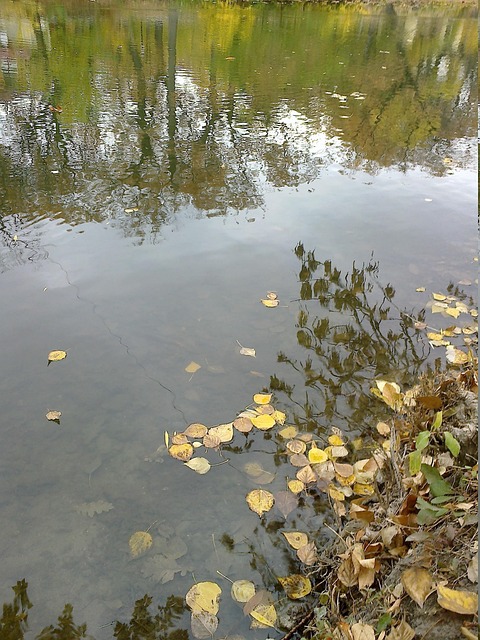 Free Water Pond photo and picture