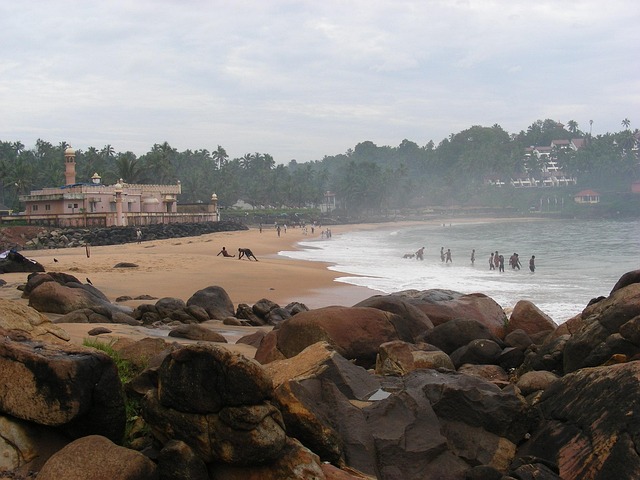 Free Beach India photo and picture