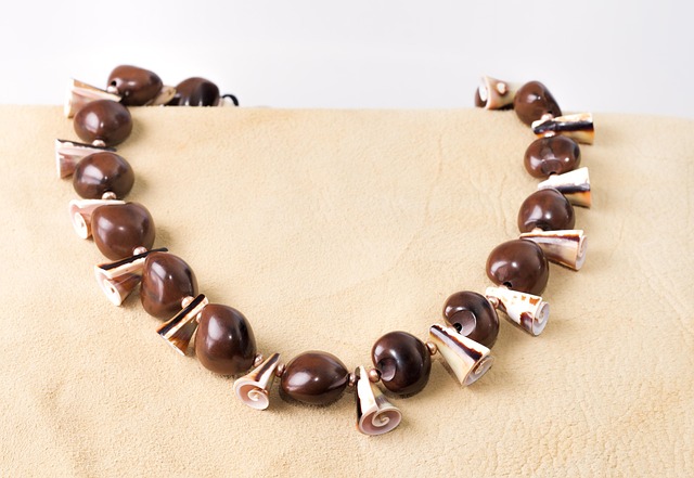 Free Shells Jewelry photo and picture