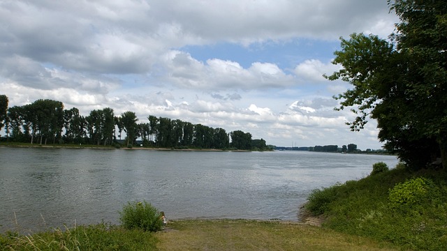 Photo Rhin Rhin L'Eau Paysage Fluvial Bord De - Photo gratuite sur Pixabay - Pixabay