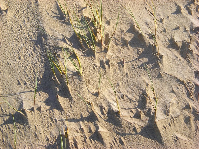 Free Sand Dunes Sand photo and picture