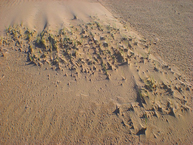 Free Sand Dune photo and picture