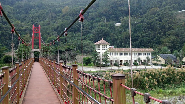 Free Taiwan Inner Bay photo and picture