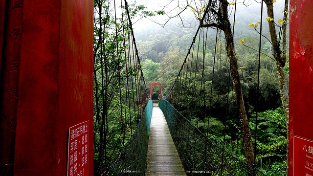 Free Suspension Bridge Landscape photo and picture