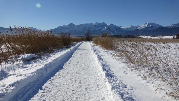 Free Path Lake photo and picture
