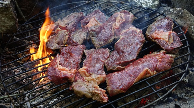 Free Barbecue Meat photo and picture