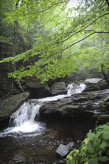Free Cascade Water photo and picture