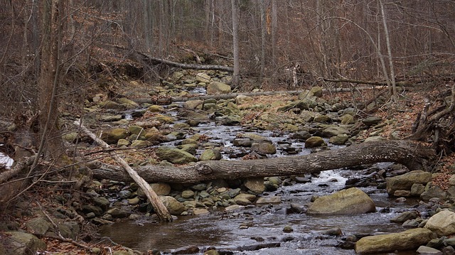 Free River Creek photo and picture
