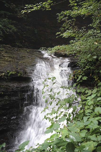 Free Waterfall Creek photo and picture