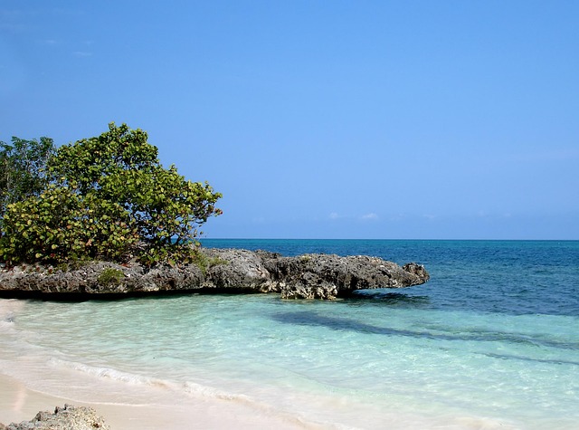 Free Sea Darling photo and picture
