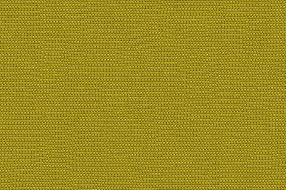 Reptile Skin Animal - Free image on Pixabay