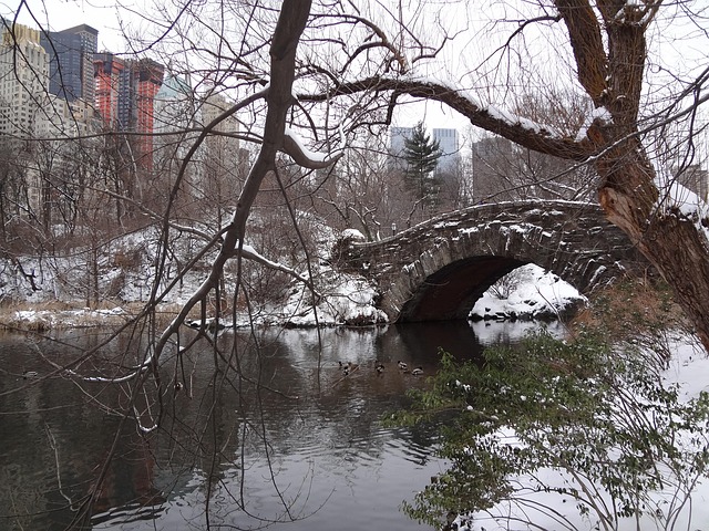 Free Central Park Manhattan photo and picture