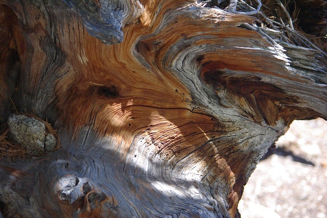 Free Wood Sculpture photo and picture