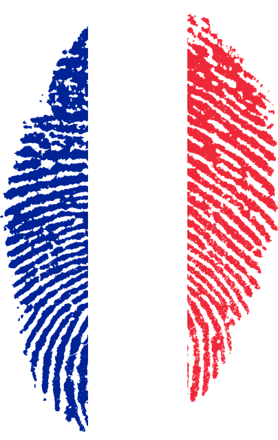 Free france flag fingerprint illustration
