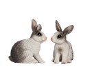 easter bunny, spring, frühlingsanfang