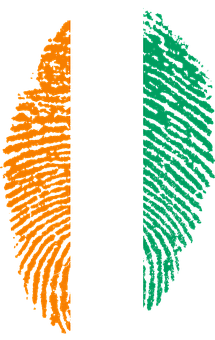 Bulgarian Consulate General-New Bulgarian Passports