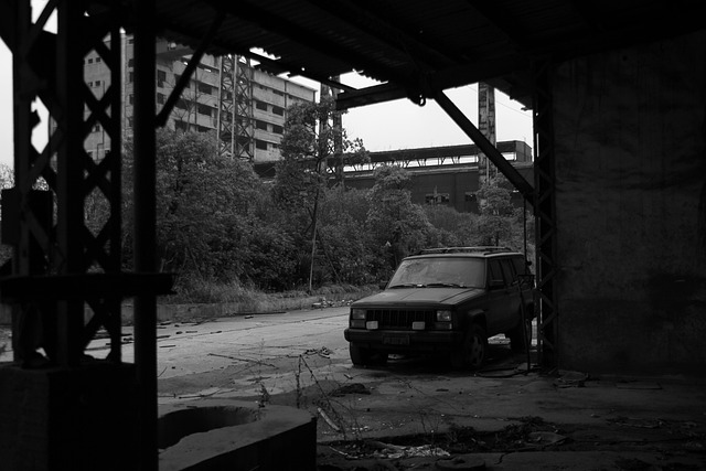 Free Ruins Plant photo and picture