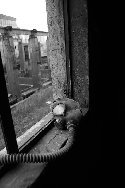 Free Gas Mask Ruins photo and picture