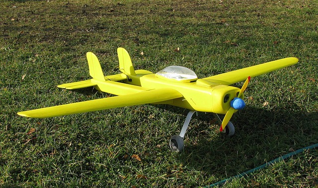 Free Model Airplane Yellow photo and picture