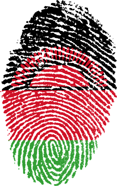Free malawi flag fingerprint illustration