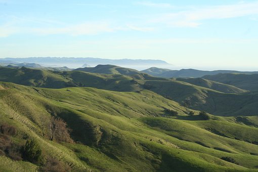 Morro Baai, Morro Rock, Natuur