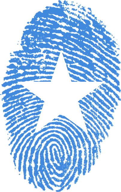 Free somalia flag fingerprint illustration