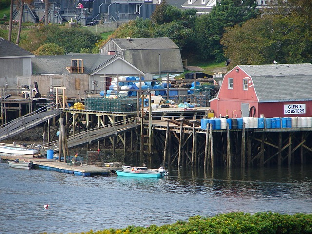 Free Glen'S Lobsters Maine photo and picture