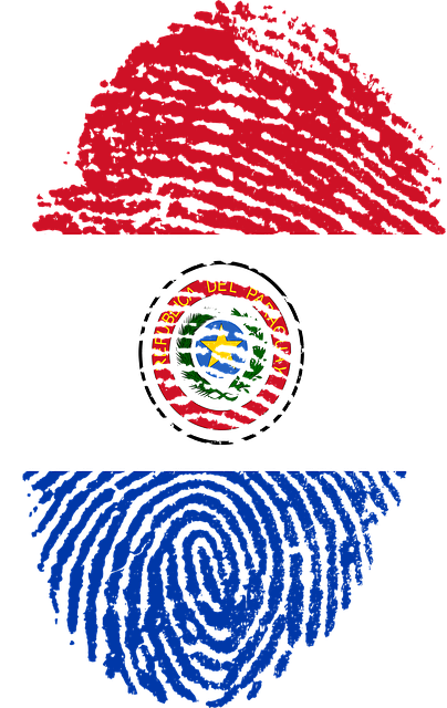 Free paraguay flag fingerprint illustration