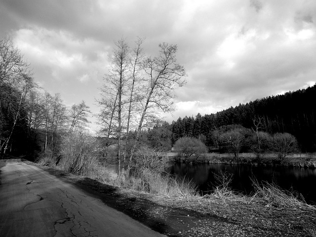 Free Black And White Dark photo and picture