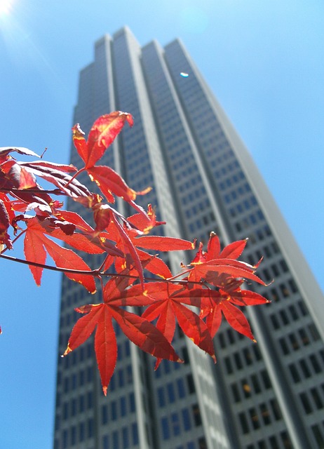 Free Skyscraper Leaves photo and picture