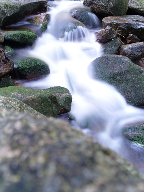 Free Water Nature photo and picture