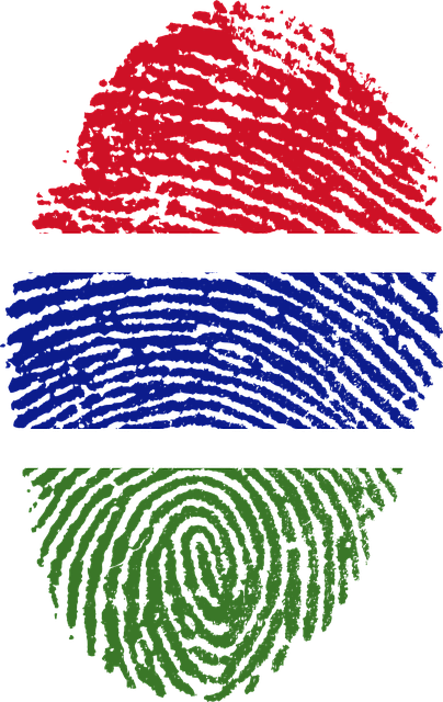Free gambia flag fingerprint illustration