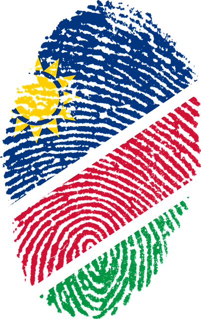 Free namibia flag fingerprint illustration
