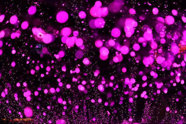 Free Dream Night photo and picture