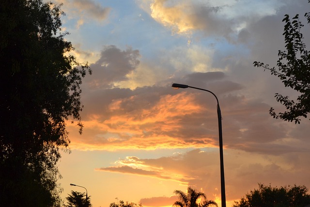 Sonnenuntergang, Vorort, Bäume