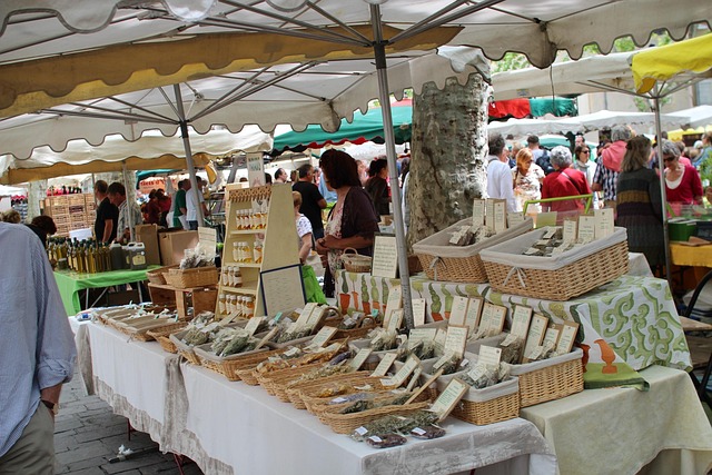 Free France Provence photo and picture