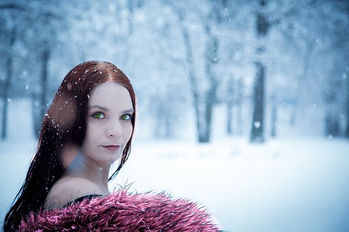 Free Winter Snow photo and picture