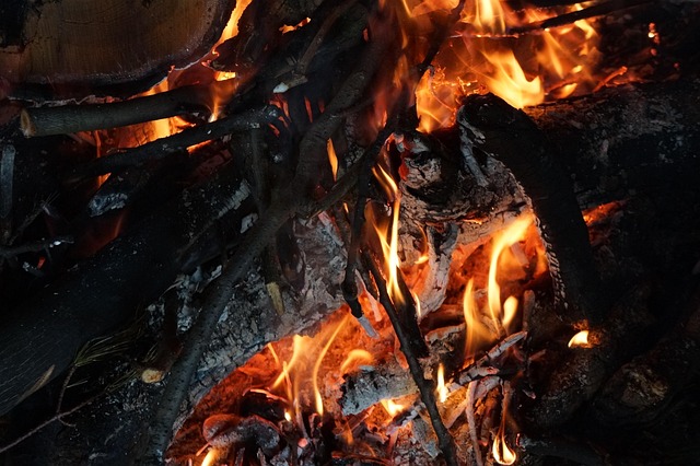 Free Fire Camp photo and picture