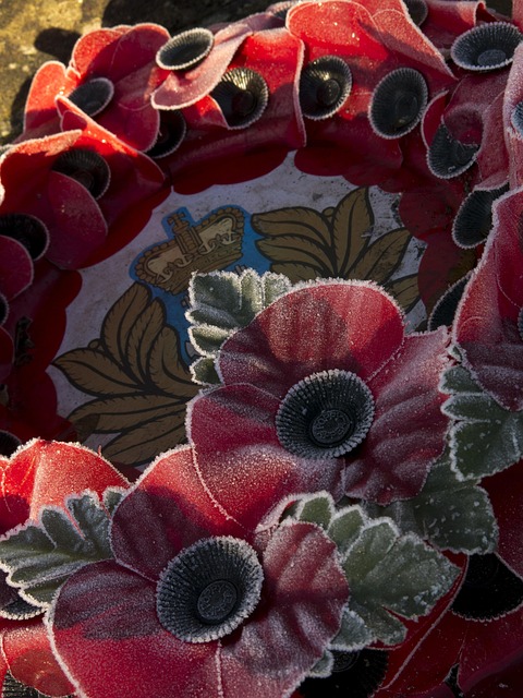 Free Wreath Poppy photo and picture