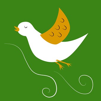 Free Cartoon Bird illustration and picture