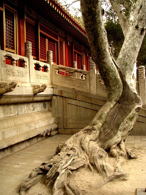 Free China Forbidden City photo and picture