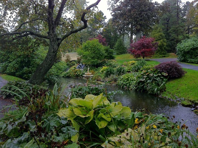 Botanisk Have, Løv, Natur