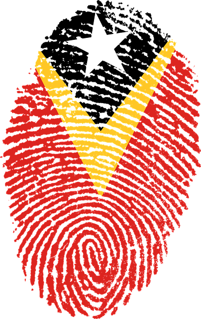 Free east timor flag fingerprint illustration