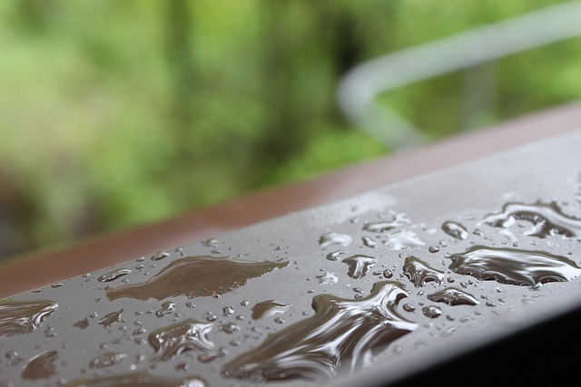 Free Rainwater Dew photo and picture