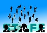 staff, team, business