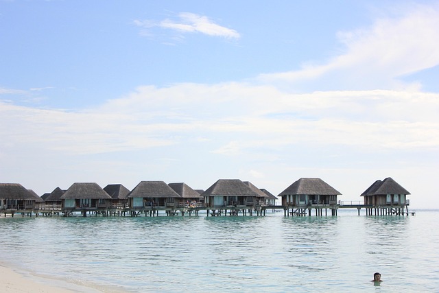 Free Vacation Beach photo and picture