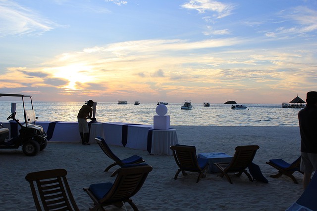 Free Party Sunset photo and picture