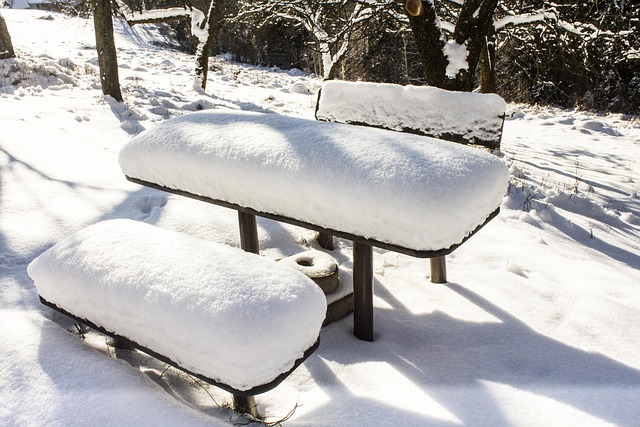 Winter, Schnee, Biel, Natur, Frost